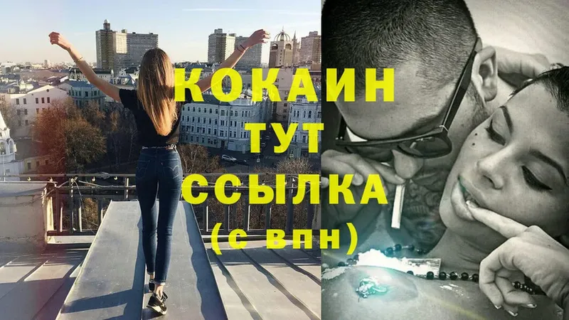 кракен как зайти  Светлоград  Cocaine VHQ  площадка какой сайт  сколько стоит 