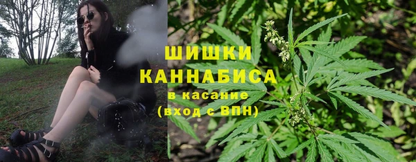 мет Нягань