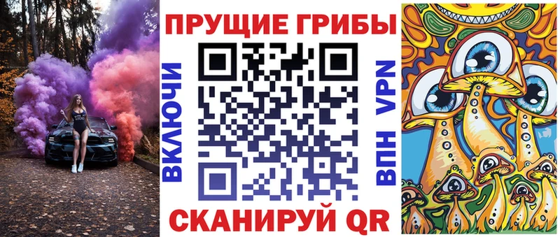 Псилоцибиновые грибы Cubensis  площадка официальный сайт  Светлоград 