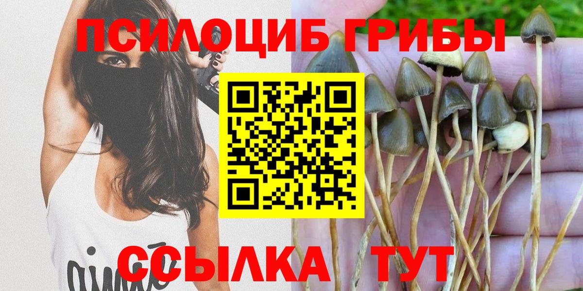 Псилоцибиновые грибы прущие грибы Светлоград