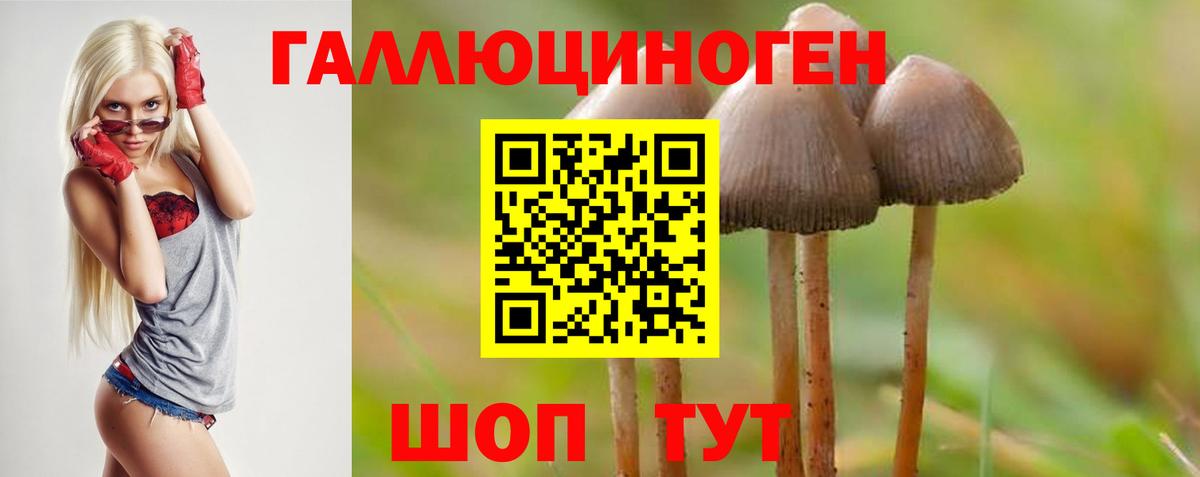 Псилоцибиновые грибы ЛСД  Псилоцибиновые грибы GOLDEN TEACHER  Вход с VPN  Светлоград 