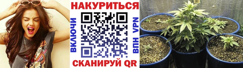 Бошки Шишки LSD WEED  что такое наркотик  Светлоград 