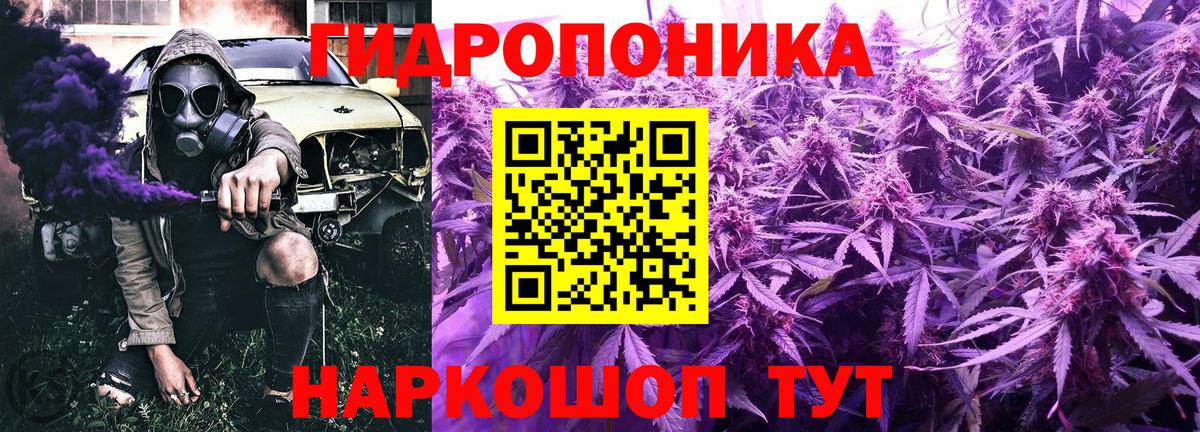 Конопля индика Светлоград